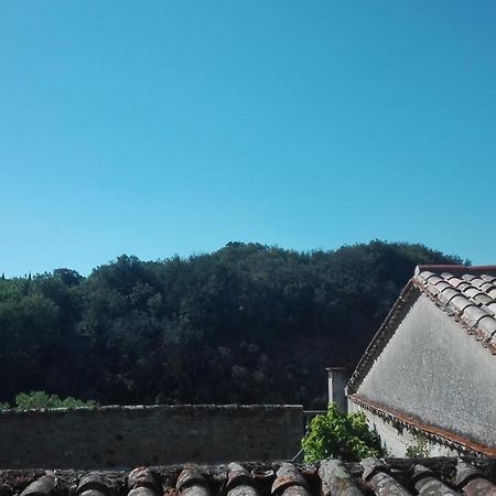Maison Au Village Du Livre Montolieu Ngoại thất bức ảnh